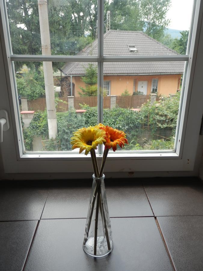 Rodinné vinařství Mikulenkovi Velke Zernoseky Exterior foto